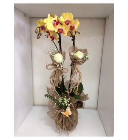 ÇİFT DALLI SARI ORKİDE ARAJMANI
