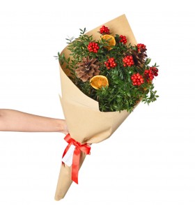 Kokina (Şans) Çiçeği