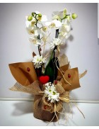 Çift Dallı Beyaz Orkide ve Özel Tasarım Süsleme