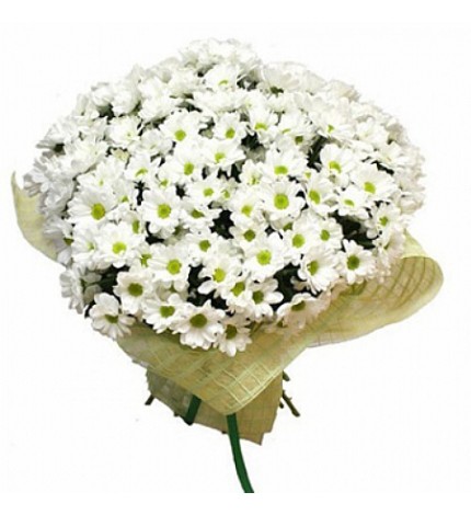 ABAKA SÜSLEMELİ PAPATYA BUKETİ 