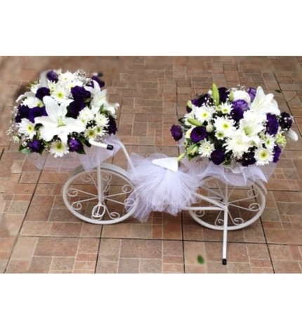 bisikletli arajman karışık